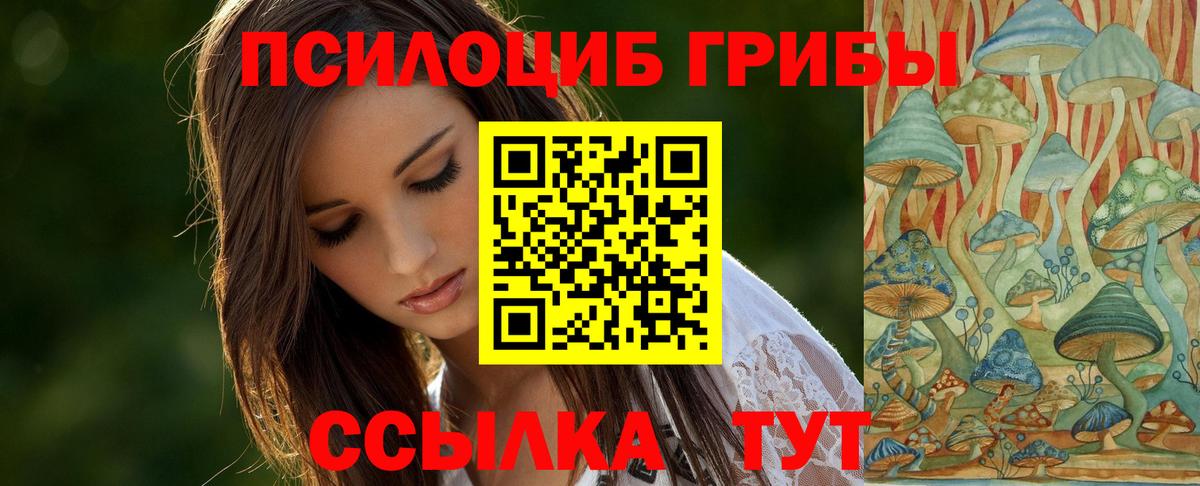 Галлюциногенные грибы Magic Shrooms Мичуринск