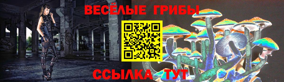 Мичуринск  Галлюциногенные грибы MAGIC MUSHROOMS  Вход с VPN 